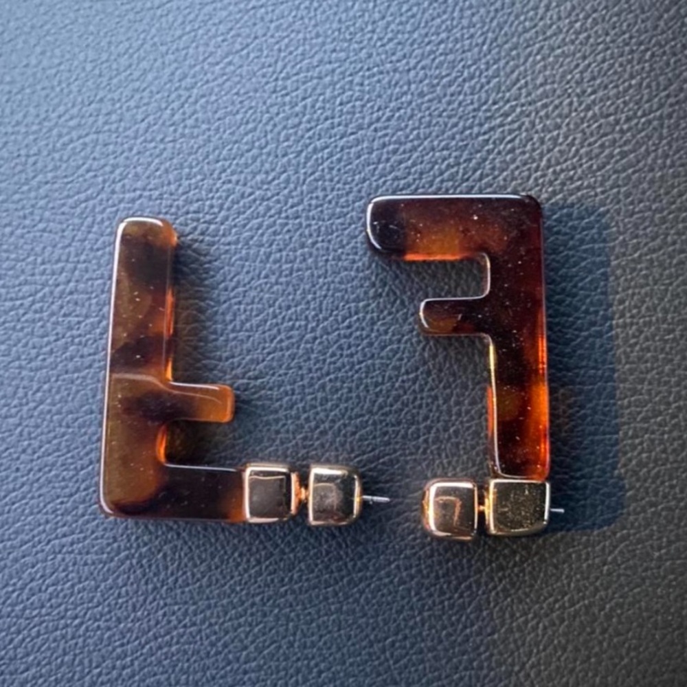Fendi Earrings